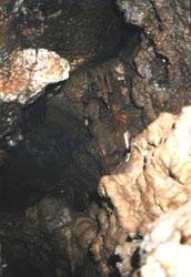 Сталактиты и гипсовые отложения практически в самой глубине пещеры
Самородная